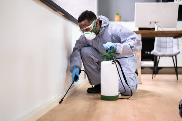 Reliable Marcellus, MI Pest control Solutions